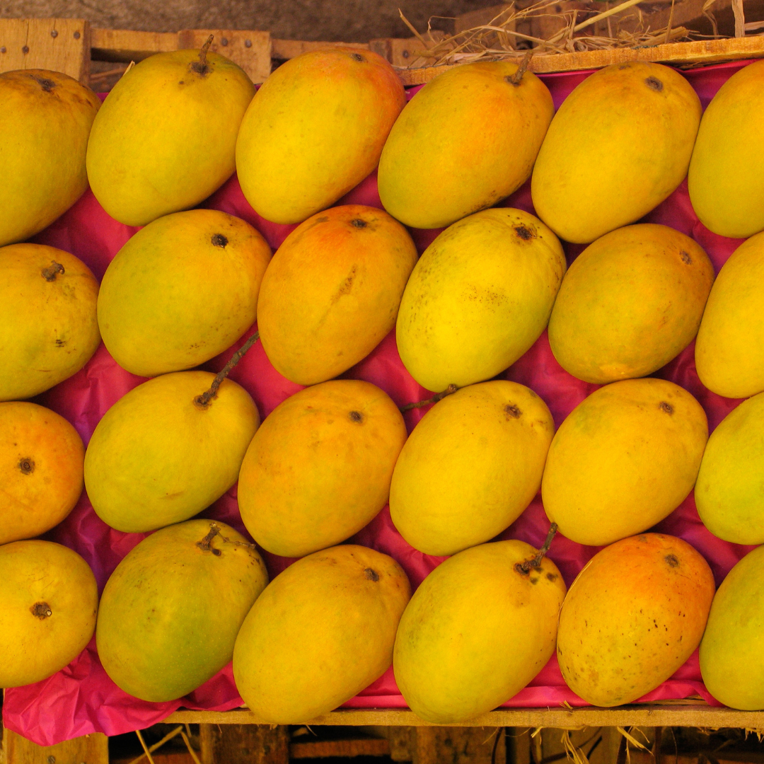 Kesar Mangoes